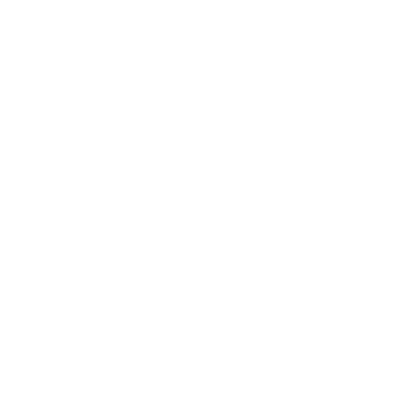 Dream Hotel