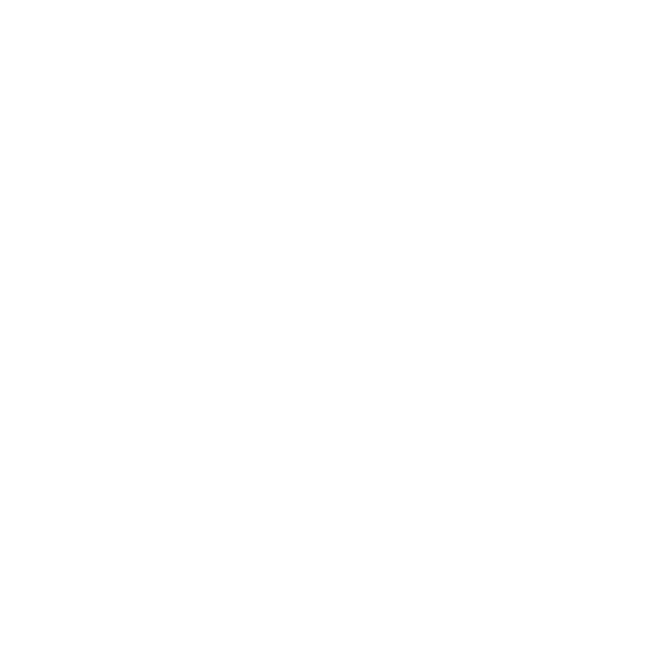 Hotel St Moritz