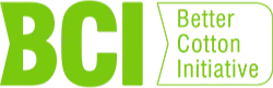 BCI Logo