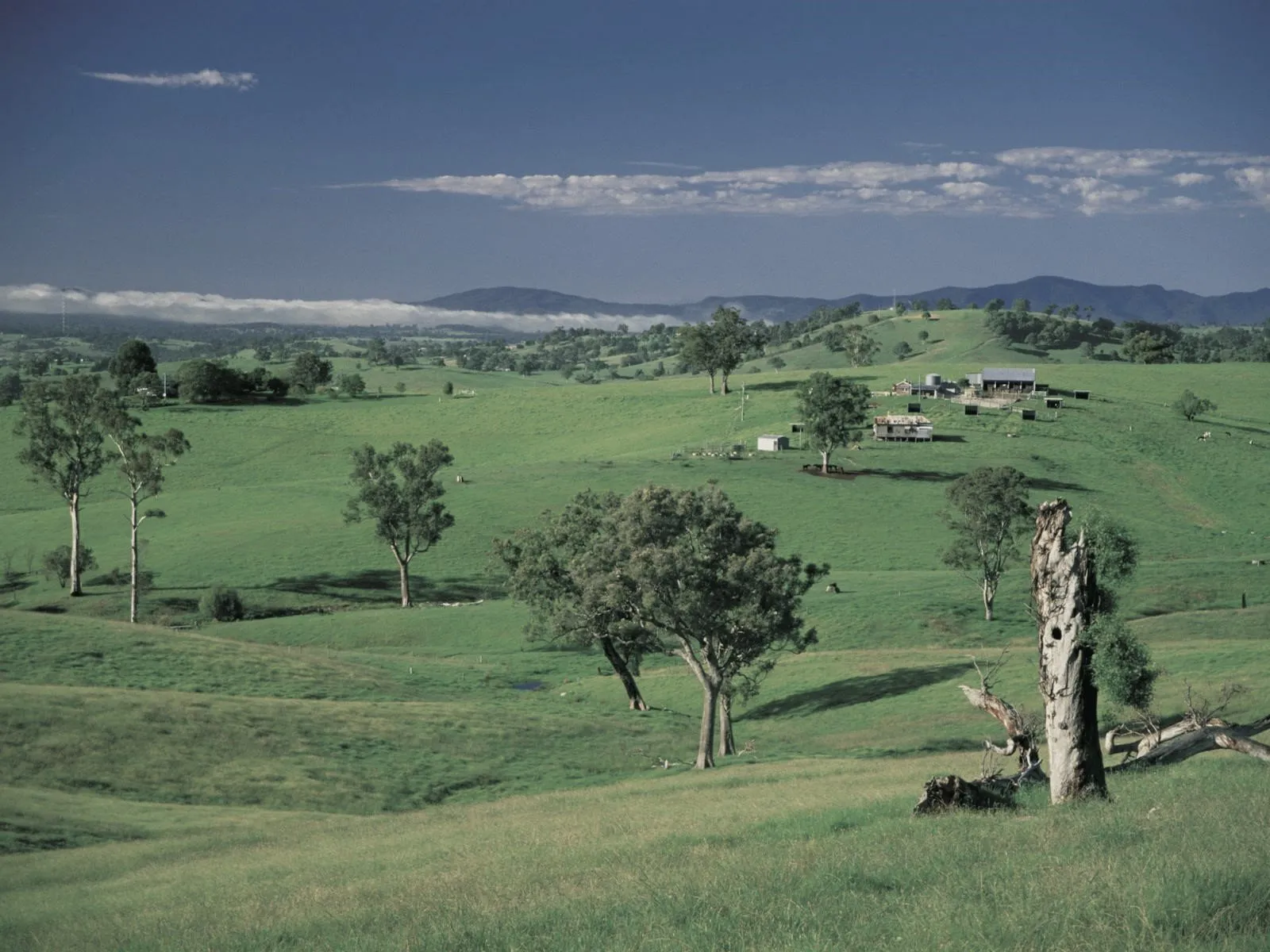 bemboka nsw